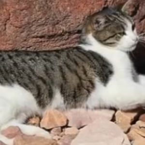 Meet your Posher, Hailey